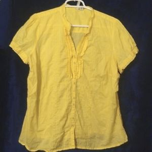 St. John's Bay front pleated, button down top